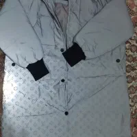 پالتو