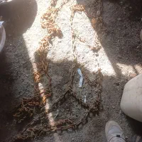 زنجیرچرخ خاور|قطعات یدکی و لوازم جانبی|مشهد, نیزه|دیوار