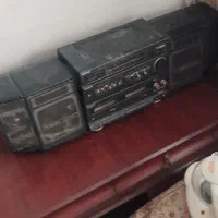 ظبط