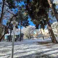 اجاره ملک زمینی ۴۵۰متری براصلی انقلاب و خیام