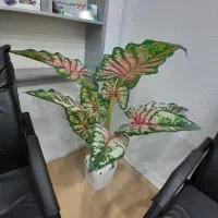 گل مصنوعی شبیه طبیعی