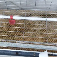 قفس جوجه و بلدرچین