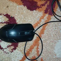 موس پدموس زیرموس