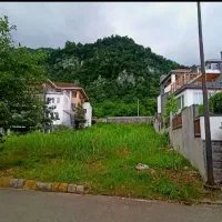 ۲۷۰ متر زمین با سند تکبرگ بافت مسکونی ویوی‌جنگل