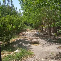 باغ۳۰۰متریسندتکبرگملاردویلایجنوبی|فروش خانه و ویلا|ملارد, |دیوار