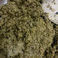 سبزی|خوردنی و آشامیدنی|شاهین‌شهر, پاسداران|دیوار