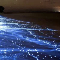 تور گروهی قشم