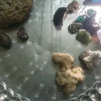 تعدادی سنگ قیمتی|کلکسیون اشیاء عتیقه|آزادشهر, |دیوار