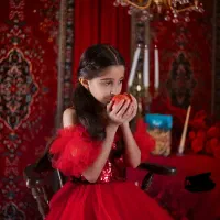 دکور یلدا و کریسمس