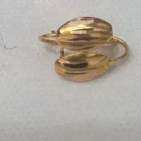 گوشواره صدفی