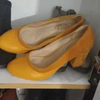 وسایل|کیف، کفش، کمربند|جوانرود, |دیوار