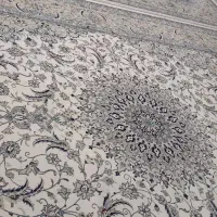 دوعدد فرش ۱۲متری تمیز به فروش می‌رسد جنس خوب