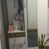 جاکفشی