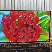 ال ای دی ۴۳ اینچ ایکس ویژن