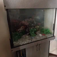 آکواریوم به همراه وسایل و کمد ام دی اف|ماهی|قدس, شهرک فرزان|دیوار