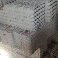 شانه‌تخم مرغ