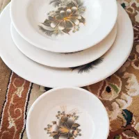 ظروف ملامین