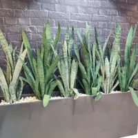 گل مصنوعی سانسوریا