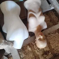 مانکن
