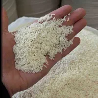 برنج صدری میانه