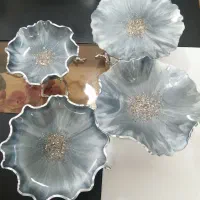 ظرف پذیرایی رزینی