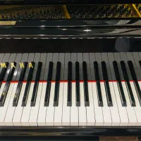 پیانو آکوستیک را باقیمت مناسب از واردکننده بخواهید