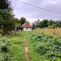 خانه و محوطه جنگلی۴۳۰۰متر سرسبز و زیبا