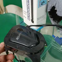 آکواریوم ، ماهی|ماهی|همدان, |دیوار