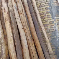 خرید چوب خشک