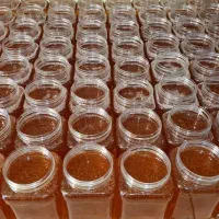 عسل طبیعی|خوردنی و آشامیدنی|مشگین شهر, |دیوار