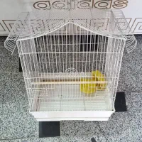 قفس عروس هلندی