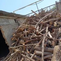 خریدار هرگونه چوب هرسی و....