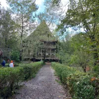 پرستاری وامور منزل