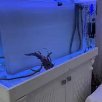 اکواریوم ممبران ۱۲۰ سانت