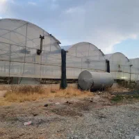 اجاره گلخانه برای نشا کاری