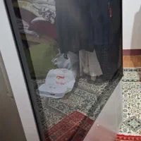 تلویزیون پروجکشن