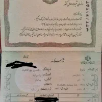 شناسنامه در خانه تکواندو باغشمال گم شده