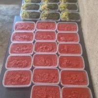نیازمند همکار خانم