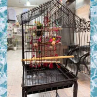 لوکس و مقاوم/ انتخابِ حرفه‌ای‌ها برای کاسکو وملنگو