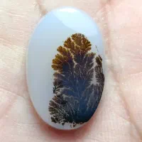 عقیق شجر قاین