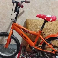 دوچرخه ۱۶ سالم بدون خرج