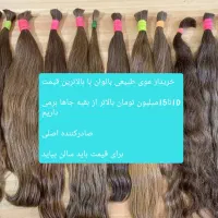 فروش...موهای طبیعی بانوان با بالاترین قیمت