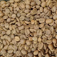 پخش دان قهوه کلاسیک(عمده) (جزئی)|عمدهفروشی|کرج, شهرک طالقانی|دیوار