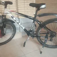 دوچرخه ویوا ب شرط زیر قیمت