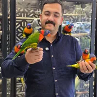 طوطی لوری راهب گرینچیک اقساطی