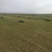 پرس یونجه خشک چین اول