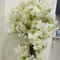 درخچه شکوفه خارجی