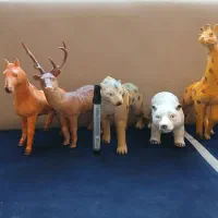 اسباب بازی حیوانات