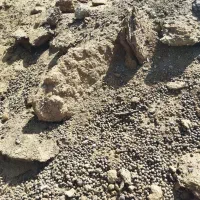 کود گوسفندی خالص برا باغ و گلخانه|خدمات باغبانی و درختکاری|خمینی‌شهر, |دیوار