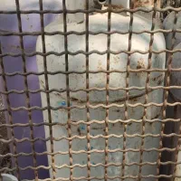 آگهی فروش کپسول گاز 45 کیلویی